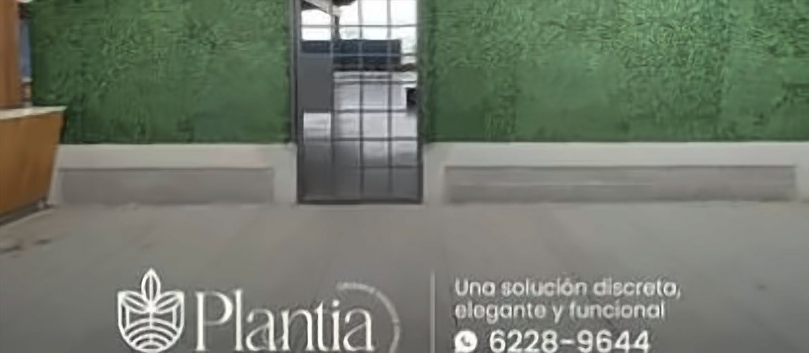 Después: muro de follaje artificial instalado